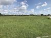 Collier Parkway & Weeks Blvd photo